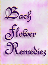 Bach Flower Remedies Header