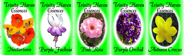 Trinity Haven Essences Range by Maria Doherty