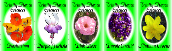 Trinity Haven Flower Essences by Maria Doherty